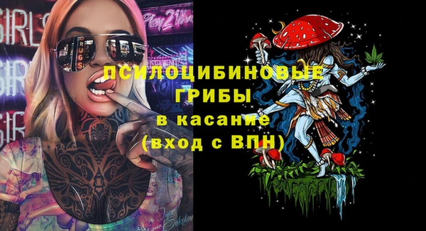 а пвп мука Коряжма