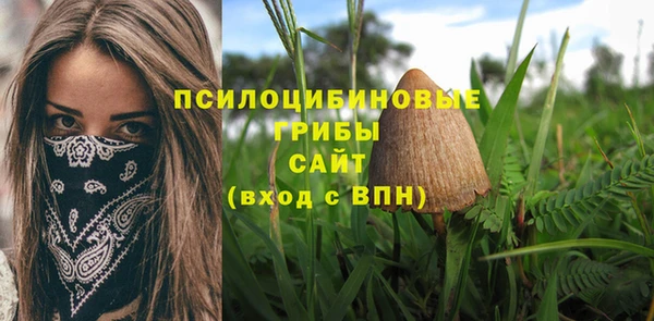 mix Корсаков